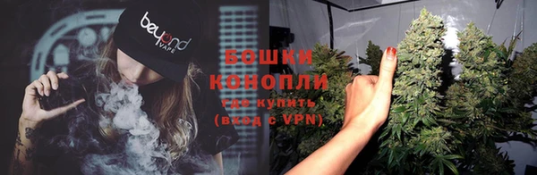 прущие грибы Дмитров