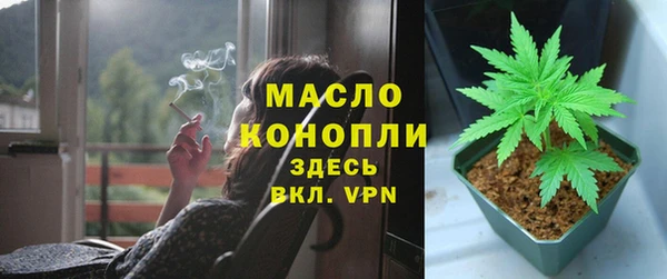 соль ск Дмитровск
