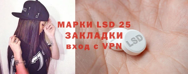 прущие грибы Дмитров