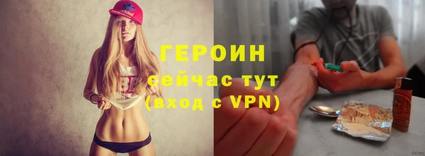 прущие грибы Дмитров