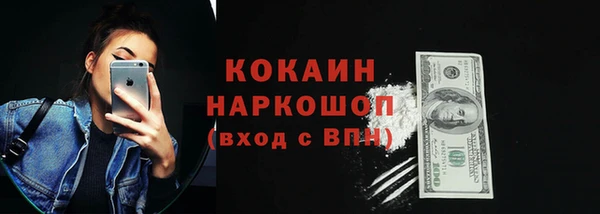 прущие грибы Дмитров
