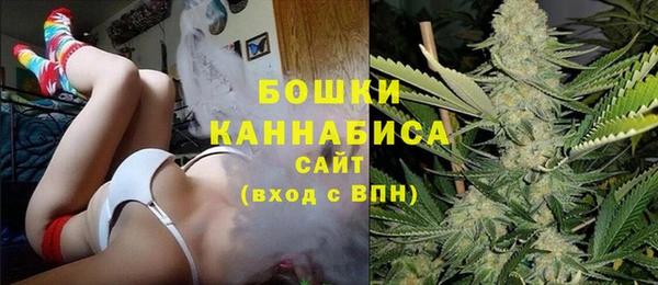 соль ск Дмитровск