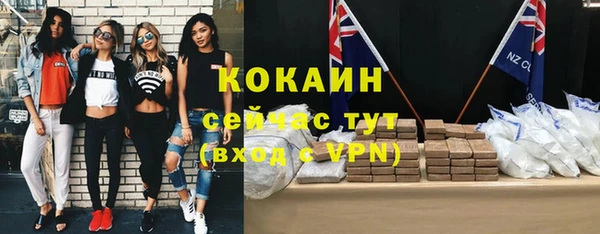 прущие грибы Дмитров